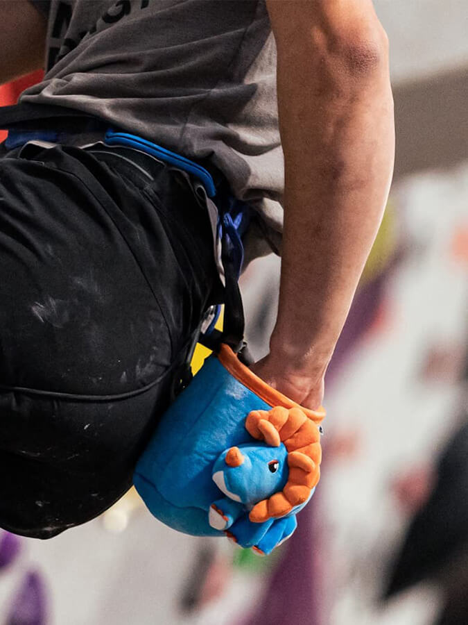 YY Vertical Chalk Bag