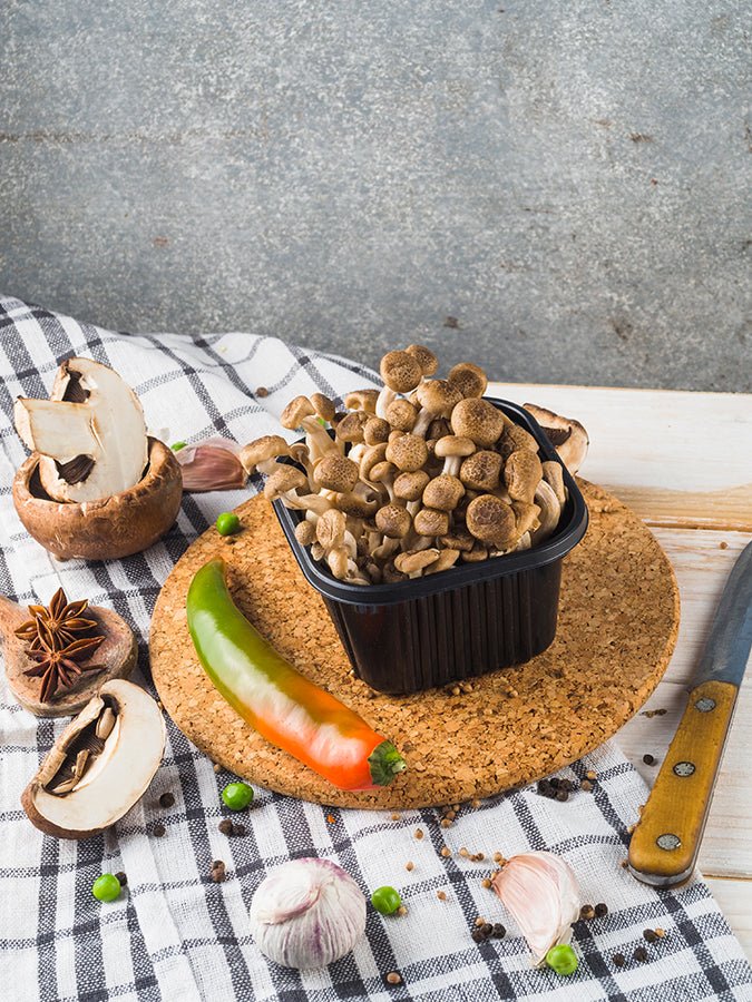 Cork Ethos Round Cork Trivet Placemat - Yoga Studio Store