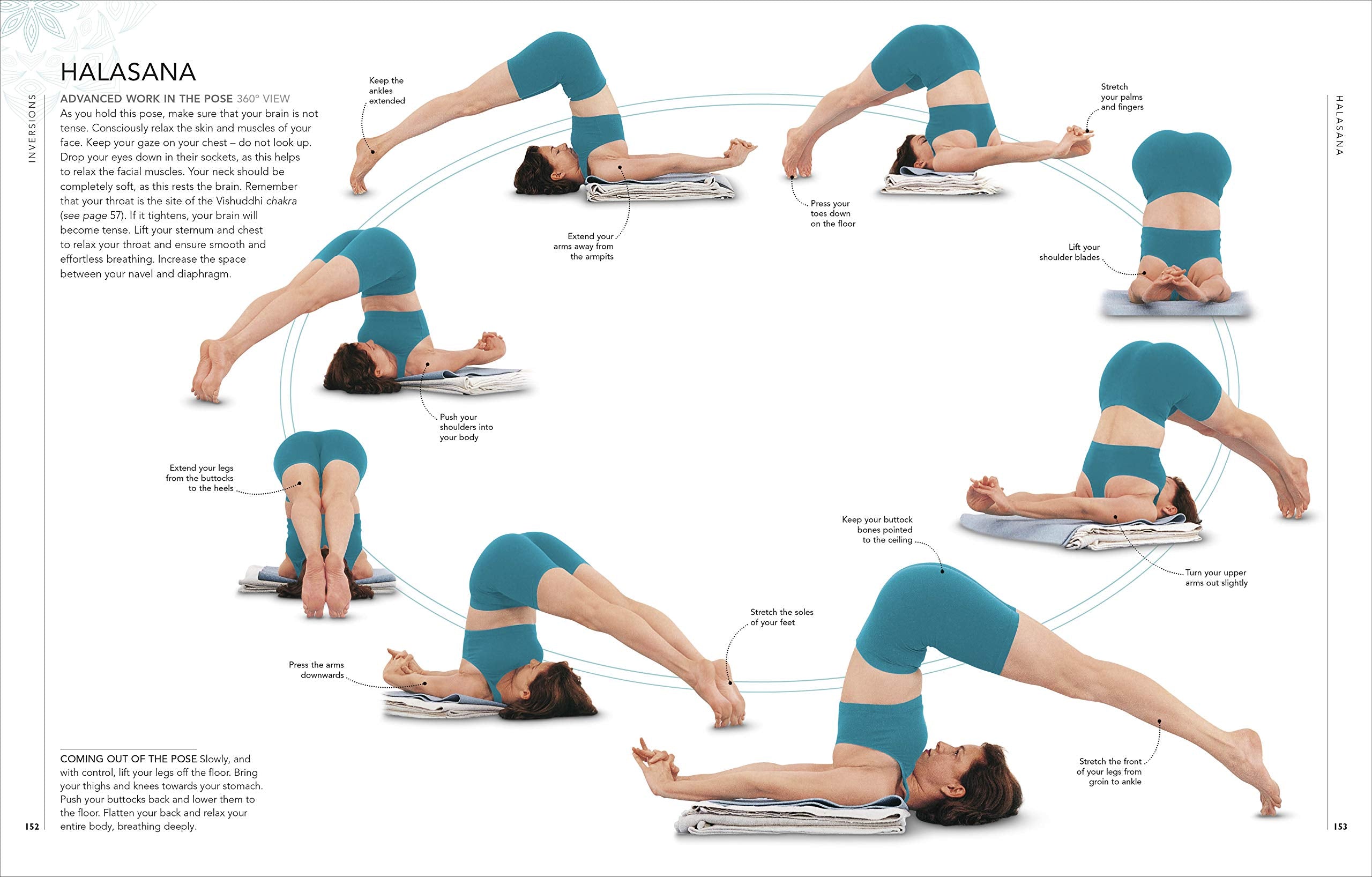 B.K.S. Iyengar Yoga The Path to Holistic Health